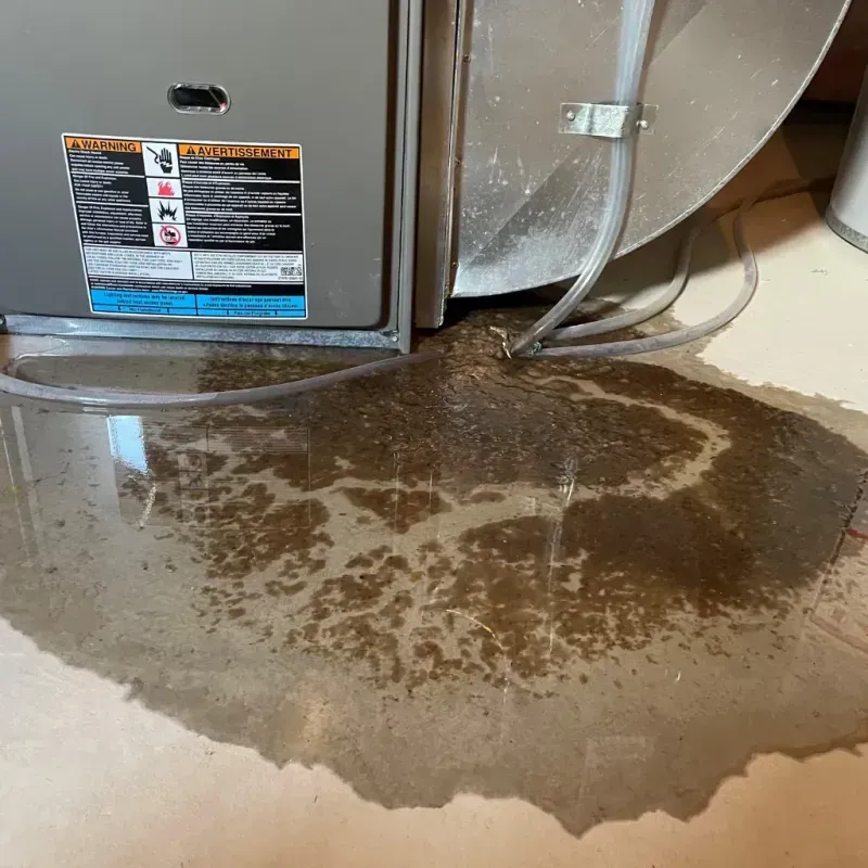 Appliance Leak Cleanup in Strong, ME